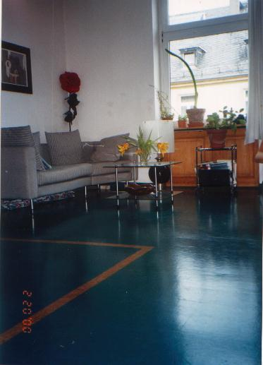 Colour Estoril Gruen Custom Borduere Wohnzimmer – Korkboden Referenz von Naturo Bodenbeläge